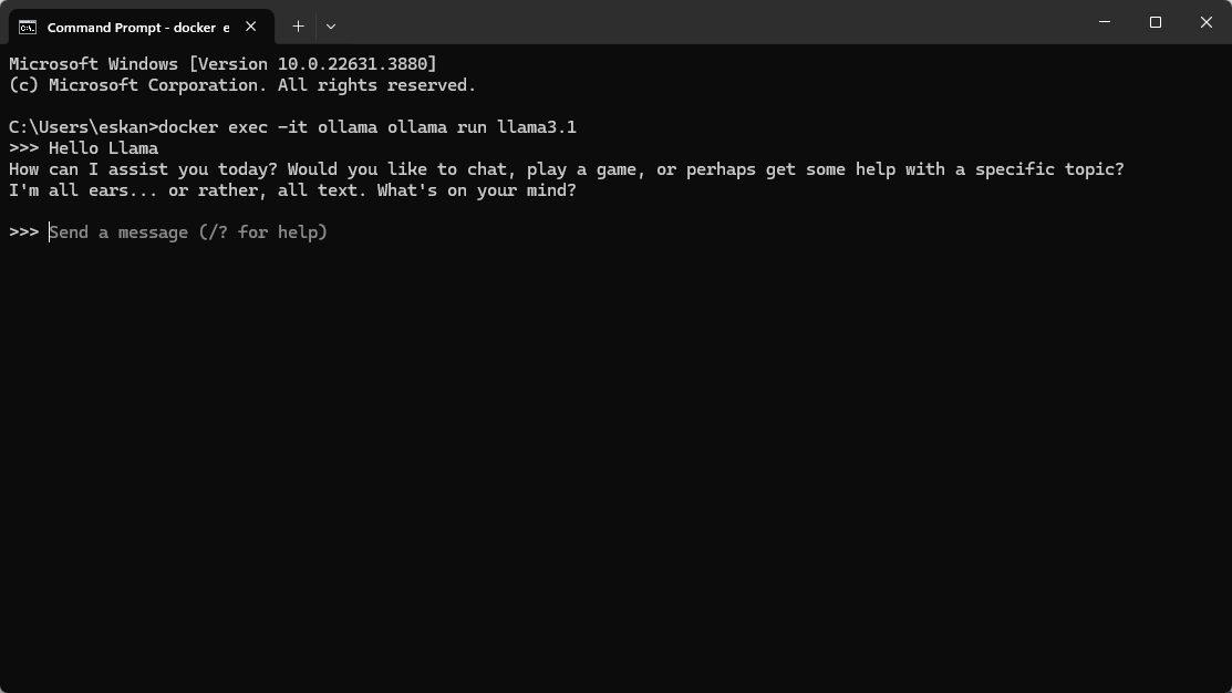 Running Llama 3.1 Using Ollama